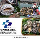 주식회사 감칠맛 중앙일보