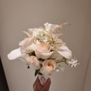 반송동265 | 창원 꽃집 혜화당 부케기프트 수령 후기