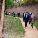 묘한쉼터 이미지