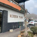 히든플랜트 | [가평카페추천] 식물카페 히든플랜트