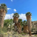 우리밸리 별님 | 트리 국립공원 당일 투어(LA 근교 여행) - 내돈내산, 너무너무 만족한 투어 추천 후기(날씨, 준비물)