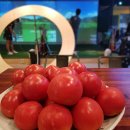 토마토스크린골프연습장
