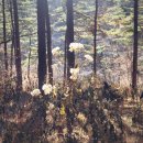 상촌면 간이화장실(초록마을 앞) | 산책길 | 원주 | 치악산둘레길 11코스 + 국형사 (feat.원주트레킹버스)