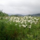 하대동312 이미지