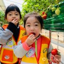 시초초등학교 이미지