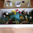 천사 애견 이미지