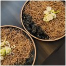 수원-0740 | 합플레이스 수원인계점 방문 후기 - 인계동맛집으로 실패 없는 선택!