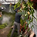 구로-구로-구로-740 | [공지] 서울 구로 개봉동 식물가게 풀집 박쥐란 브랜드 피엘티지 런칭 기념 팝업 스토어 즐거웠던 행사...