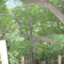 지리종주 성삼제 에서 장터목 산장 (비바람이 너무나 센 나머지 ) 에서 백무동 하산 1 이미지