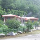 명당옥수 이미지