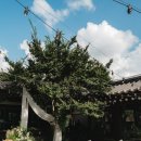 메이커스더블유 | 스미스가 좋아하는 한옥 웨딩 본식스냅 메이커스더블유 매건프로젝트 모드니드레스 강산픽