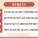 STEAM교육컨텐츠연구소 이미지