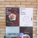 제주남초등학교 | 상향평준화 - 제주에 이런 보물이⊹ ꔫ 𓂂 ˳ׄ ˖ ⁺˚(주차, 메뉴추천, 후기, 웨이팅, 제주카페추천)