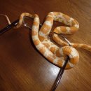 이상동물병원 이미지