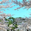 유정화원 이미지