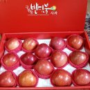 하늘녘싱싱팜 이미지