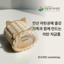 상록청소년수련관 | [안산출강] 부모와 자녀가 함께한 라탄 저금통 만들기 체험 / 안산 상록청소년수련관 라탄공예출강
