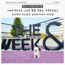 더위크앤리조트 스위트 펫룸 영종도 애견동반숙소 조식부터 더우프앤 보딩케어까지 대만족
