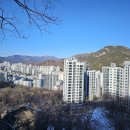 집안 이미지