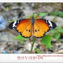 부귀농협마이산김치익산북부 | 20일[날씨]&[주요일정]&[역사속 오늘]&[뉴스와 상식] *[시사조선/식품환경신문/에이블뉴스]