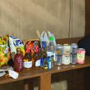 코코비발디 캠핑장 | 홍천 글램핑 추천 코코 비발디 카라반 캠핑장 여름 겨울 글램핑