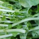 고향참기름집 이미지