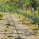 대청댐물문화관 이미지