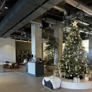 강약국 | 2026년 1월 가족 겨울 강원도 아이랑 휘닉스파크평창 스노우빌리지 블루캐니언 여행 후기