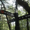 대덕사이언스길(제1코스) 이미지