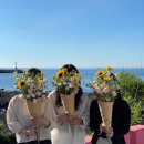 소피토제주
