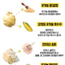 팝콘호텔 이미지