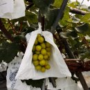 쌍정2리 이미지