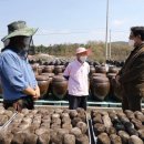 인양양초장 이미지