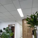 독일보청기 태평센터 이미지