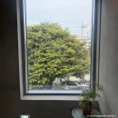 칠보로 | 수원 칠보산 주변 대형카페 슬로 칠보하우스 주차 메뉴 베이커리 정원 내부 음료 후기