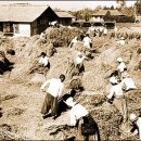보릿고개 - 연수구 | 보릿고개