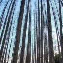 인천목장 이미지