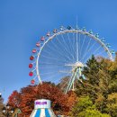 서기 | 에버랜드 주말 오픈런 사파리 판다월드 스마트줄서기 꿀팁 후기