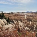 하단동1122 | 부산 을숙도