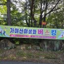 지역민을 위한 재즈 공연 이미지