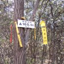 남지시장 이미지