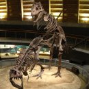 새턴 PC방 이미지