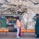 수원-1057 이미지