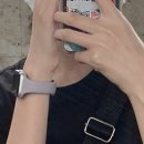 지비스톤