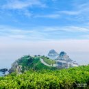버스정류장 06-214 | [공지] 부산여행 2박3일 코스 추천, 뚜벅이 여행