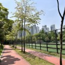 손기정체육센터 이미지