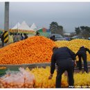 동백 태양광발전소 이미지
