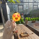 왓섬 | 제주 보롬왓 내돈내산 후기