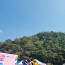 타이거마켓