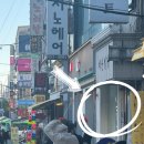 봉오대로 | 인천 팔레트디저트 두바이쫀득쿠키 주말 웨이팅 시식 후기 (+크리믈 두쫀쿠)